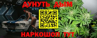 сатива Берёзовский