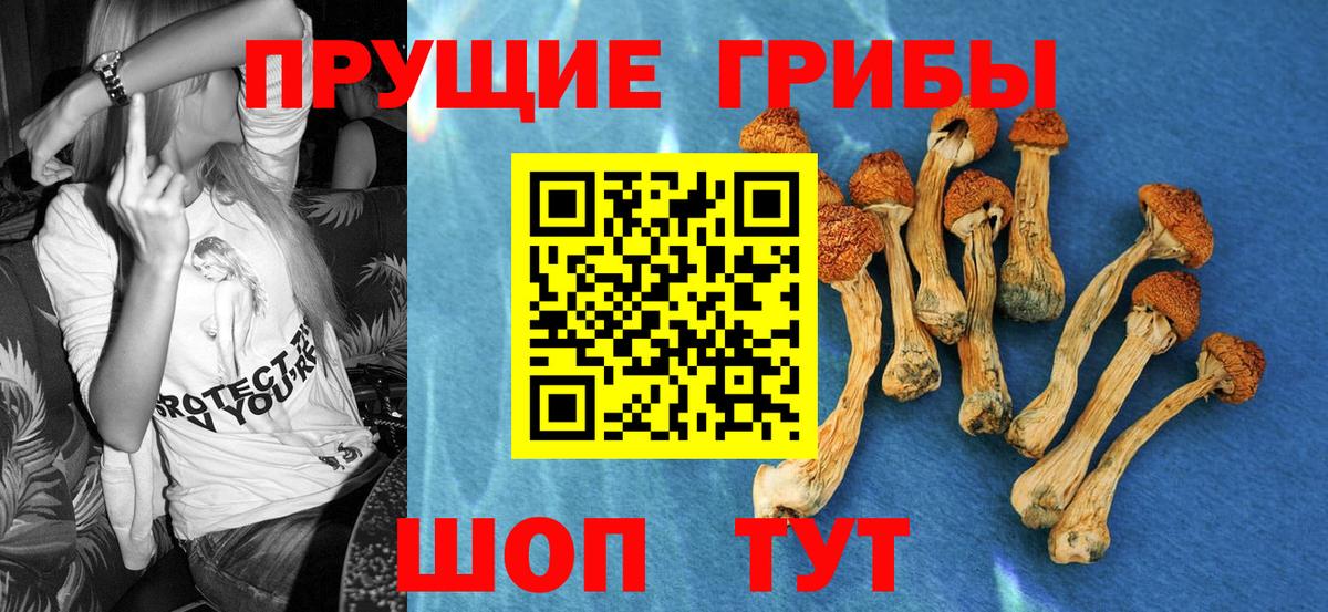 Галлюциногенные грибы Cubensis  Галлюциногенные грибы Cubensis  Белореченск  Вход с VPN 