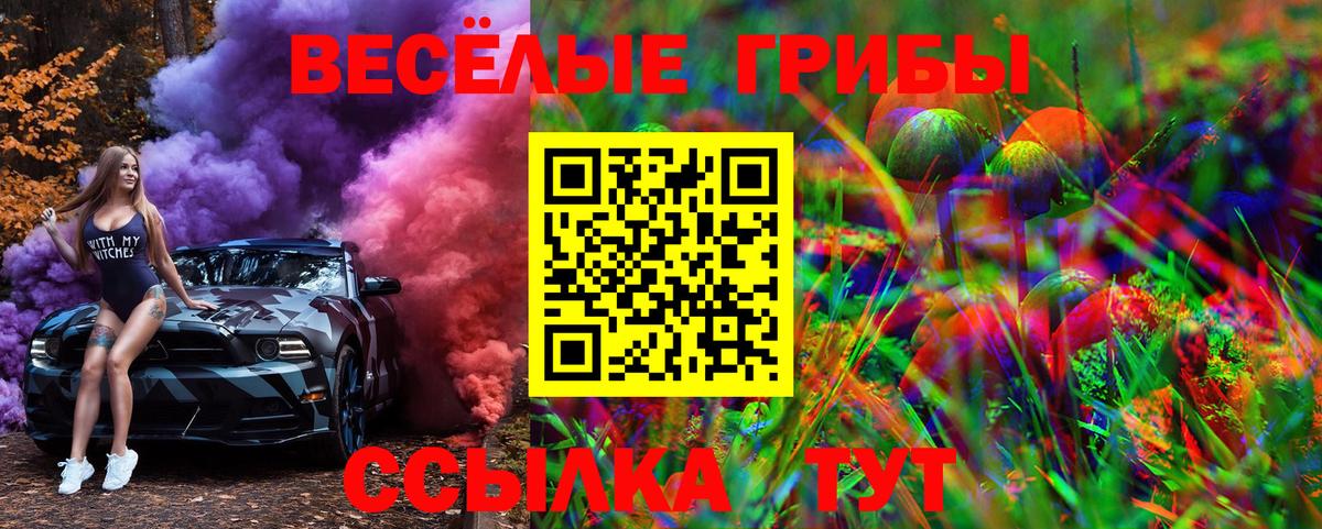 Галлюциногенные грибы Cubensis Белореченск